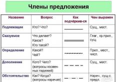 Грамматический разбор предложения в русском языке: примеры